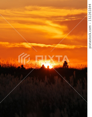 曾爾高原的秋天：一對情侶在夕陽與紫芒環繞的散步道上散步 132261844