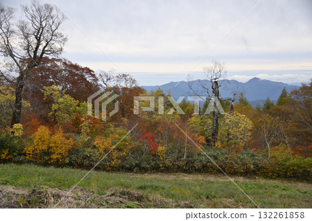 秋西Azumayama 秋西Azumayama 132261858