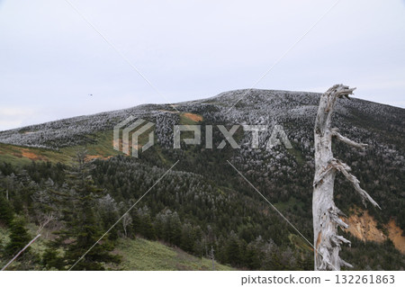 秋西Azumayama 132261863