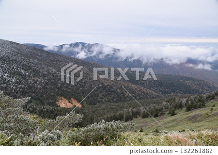 秋西Azumayama 132261882