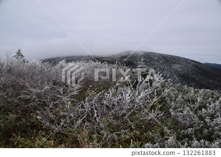 秋西Azumayama 132261883