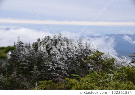 秋西Azumayama 132261884