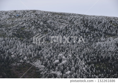 秋西Azumayama 秋西Azumayama 132261886