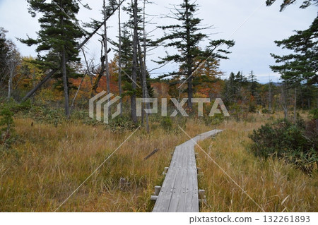 秋西Azumayama 秋西Azumayama 132261893