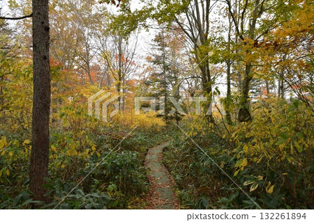 秋西Azumayama 132261894