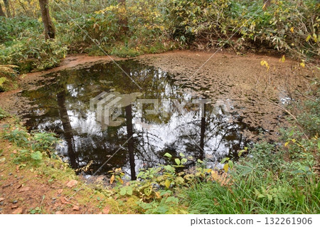 秋西Azumayama 132261906