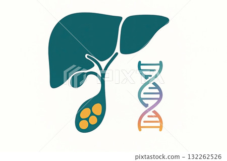 Minimalist medical illustration showing liver, gallbladder with stones, and DNA helix symbolizing the genetic role in gallstone disease development, generative ai illustration. 132262526