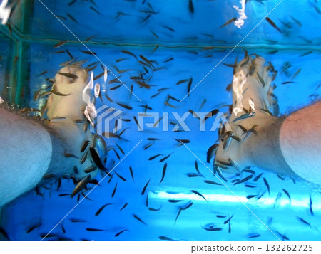Fish Spa Treatment with Feet in a Tank of Small Fish Fish Spa Treatment with Feet in a Tank of Small Fish 132262725