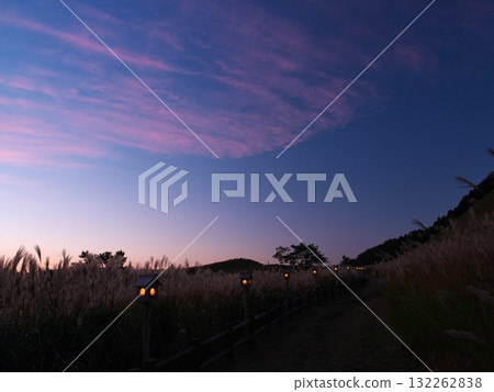 The Soni Plateau, covered with silver grass, and the illuminated promenade as dusk approaches The Soni Plateau, covered with silver grass, and the illuminated promenade as dusk approaches 132262838