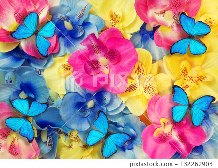 Floral background from colorful artificial flowers and Morpho godartii butterflies Floral background from colorful artificial flowers and Morpho godartii butterflies 132262903