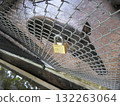 Locked Wire Fence Securing a Zoo Enclosure with Animals in the Background 132263064