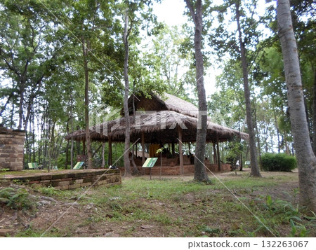 Thatched Hut Surrounded by Trees and Grass in a Zoo Area with Stone Walls 132263067