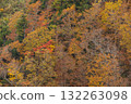 群山如錦 132263098