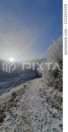 Sun shining over a path through a hoar frost covered forest during winter hiking in Alsace, mobile photo. Atmospheric winter landscape ideal for illustrating nature, sunlight, and seasonal adventure. Sun shining over a path through a hoar frost covered forest during winter hiking in Alsace, mobile photo. Atmospheric winter landscape ideal for illustrating nature, sunlight, and seasonal adventure. 132263109