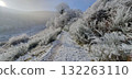 Path through a hoar frost covered forest during winter hiking in Alsace, mobile photo. Scenic trail perfect for illustrating nature, seasonal landscape, and outdoor exploration. 132263110