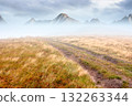 landscape with dirt road through field in fog in summer. yellow grass on the hills under overcast sky. mystery atmosphere countryside composite photo 132263344