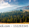 rural area of carpathian mountains in autumn. wonderful highland of ukraine in morning light observed from the hillside. meadows on rolling hills near spruce forest. transcarpathia travel destination 132263345