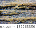 nature texture with stones in the water steam. closeup background of a river shore in autumn 132263350