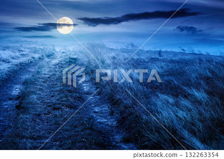 landscape with dirt road through field in fog in summer at night. yellow grass on the hills under dark sky in full moon light. mystery atmosphere countryside composite photo landscape with dirt road through field in fog in summer at night. yellow grass on the hills under dark sky in full moon light. mystery atmosphere countryside composite photo 132263354