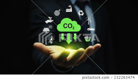 A sustainable earth in the palm of your hand 132263474