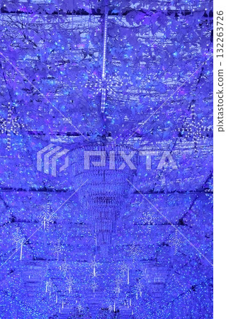 Tokunosu的照明 132263726