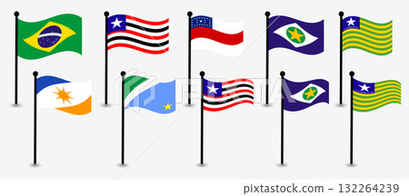 Collection of National and Regional Brazil Flags in a Flat Design. Brazil, Brazilian Flag. 132264239