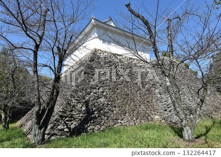 Kameyama Castle Tamon Pass Kameyama Castle Tamon Pass 132264417