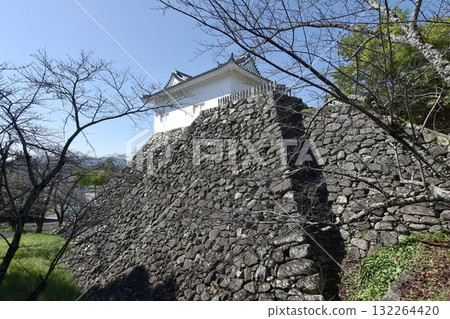 Kameyama Castle Tamon Pass Kameyama Castle Tamon Pass 132264420