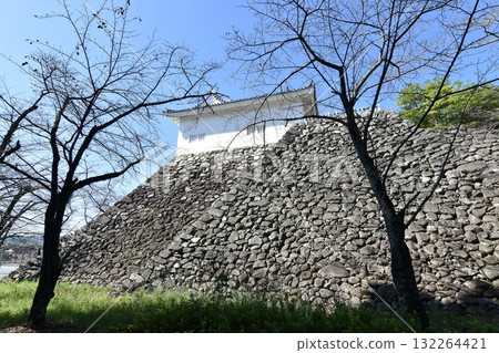 Kameyama Castle Tamon Pass Kameyama Castle Tamon Pass 132264421