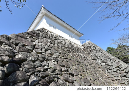 Kameyama Castle Tamon Pass Kameyama Castle Tamon Pass 132264422