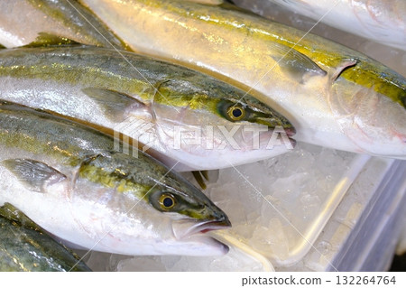 新鮮黃尾魚 新鮮黃尾魚 132264764