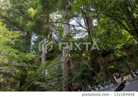 Nara Prefecture / The main shrine hidden behind the trees of Tenkawa Daibenten (photographed on August 28, 2025) Nara Prefecture / The main shrine hidden behind the trees of Tenkawa Daibenten (photographed on August 28, 2025) 132264888