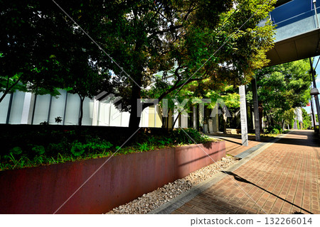 國學院大學澀谷校區 132266014