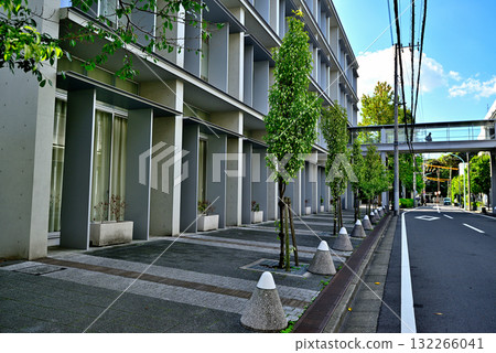 國學院大學澀谷校區 國學院大學澀谷校區 132266041