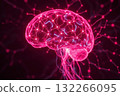 A glowing, pink-lit human brain with neural connections, representing intelligence and thought processes against a dark background. 132266095
