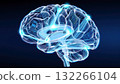 A detailed 3D rendering of a human brain, illuminated with a bright, glowing effect, set against a dark background. 132266104
