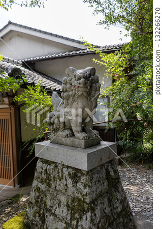 奈良縣/天川大弁天神社的守護神（2025年8月28日拍攝） 132266270