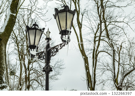 Old street lamp and trees in winter Old street lamp and trees in winter 132266397
