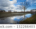 Water in the field and clouds in the sky 132266403