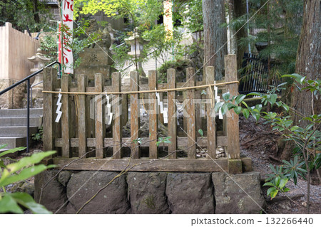 奈良縣 / 天川大弁天的四石三水八林（2025年8月28日拍攝） 132266440