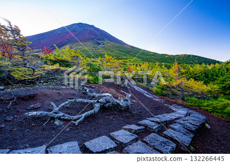 [山梨縣] 富士山～內庭的紅葉 132266445