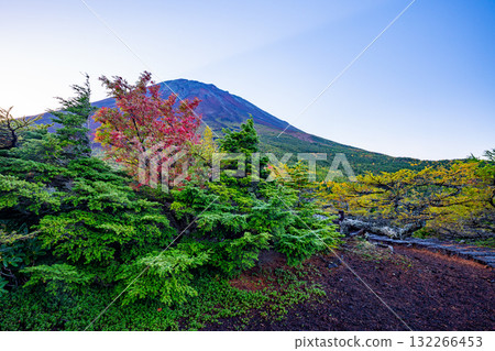 [山梨縣] 富士山～內庭的紅葉 132266453