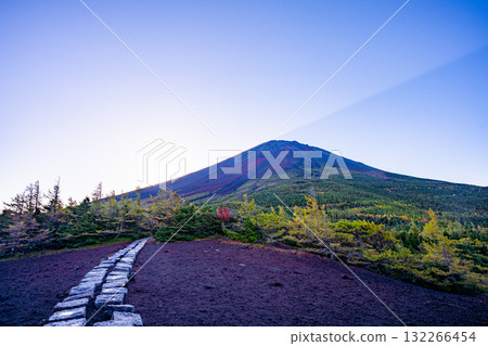 [Yamanashi Prefecture] Mt. Fuji - Autumn leaves in the inner garden 132266454