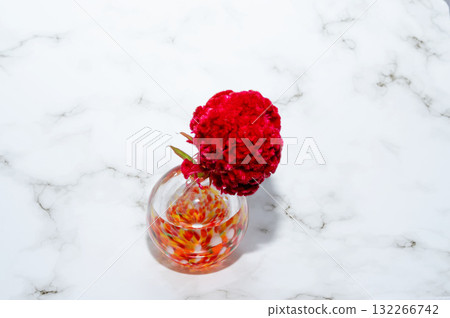 暖色玻璃花瓶中的雞冠花(中心位置) 暖色玻璃花瓶中的雞冠花(中心位置) 132266742