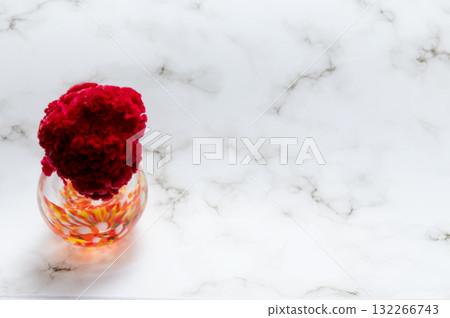 A celosia flower in a warm-colored glass vase (left) A celosia flower in a warm-colored glass vase (left) 132266743