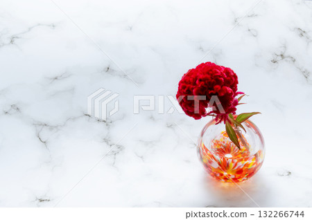 A celosia flower in a warm-colored glass vase (right) A celosia flower in a warm-colored glass vase (right) 132266744