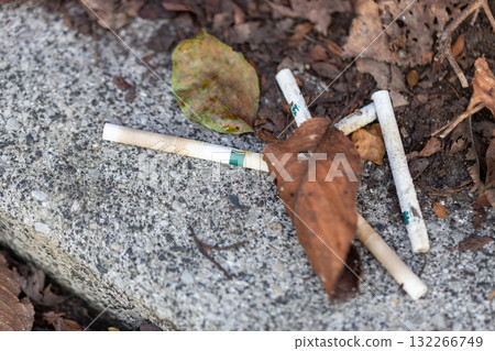 Cigarette butts discarded in the park. Stock photo of fallen leaves and white cigarettes being discarded. 132266749