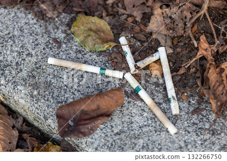 Cigarette butts discarded in the park. Stock photo of fallen leaves and white cigarettes being discarded. Cigarette butts discarded in the park. Stock photo of fallen leaves and white cigarettes being discarded. 132266750