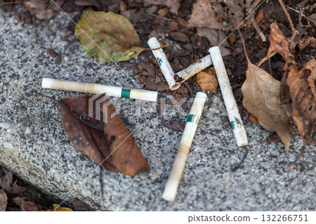 Cigarette butts discarded in the park. Stock photo of fallen leaves and white cigarettes being discarded. Cigarette butts discarded in the park. Stock photo of fallen leaves and white cigarettes being discarded. 132266751