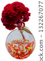 A cutout of a celosia flower in a warm-colored glass vase A cutout of a celosia flower in a warm-colored glass vase 132267077